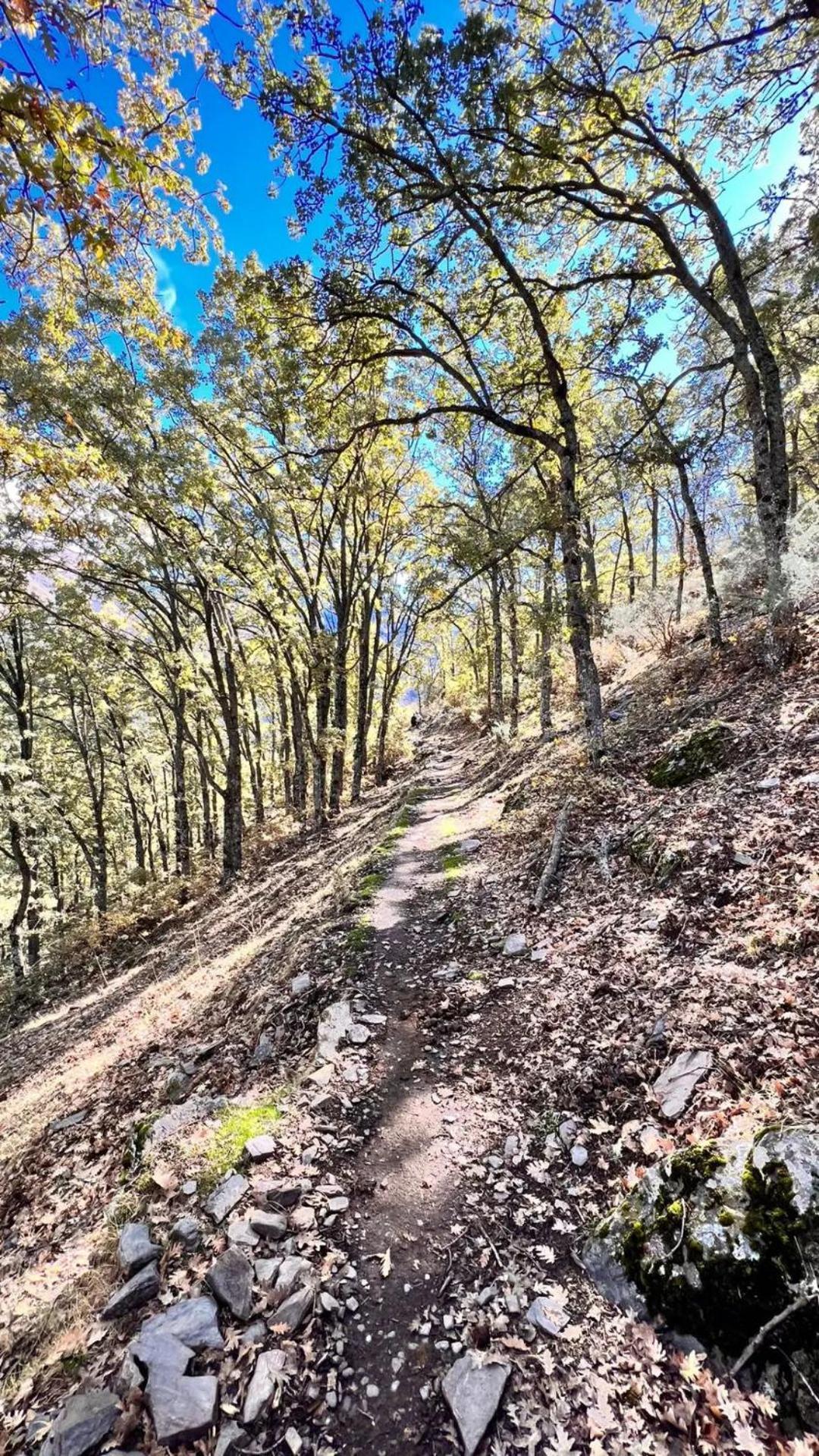Casa A La Vera De La Sierra Guejar Sierra Eksteriør bilde