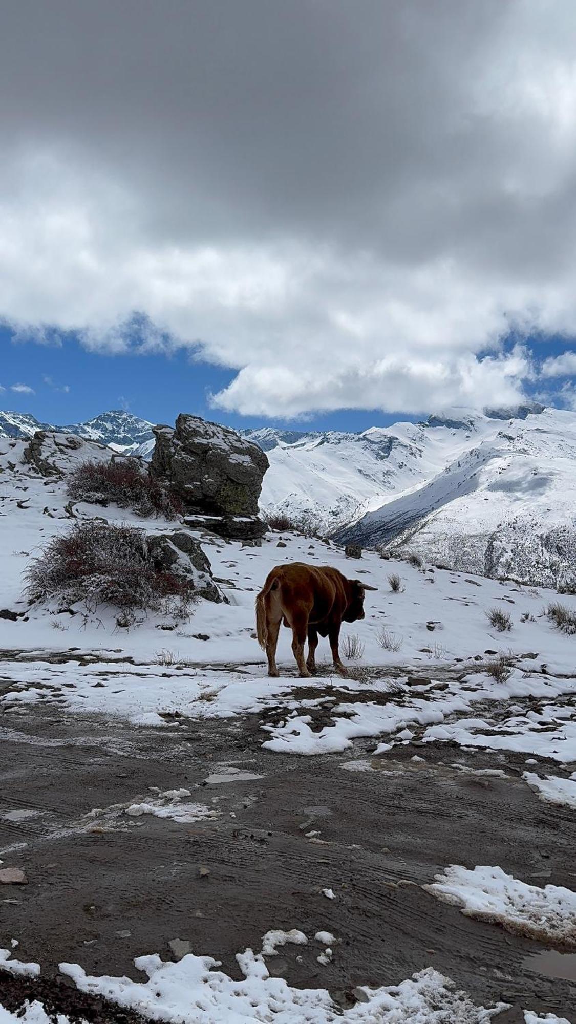 Casa A La Vera De La Sierra Guejar Sierra Eksteriør bilde